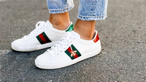 gucci traineranzug|Gucci ace trainers women's.